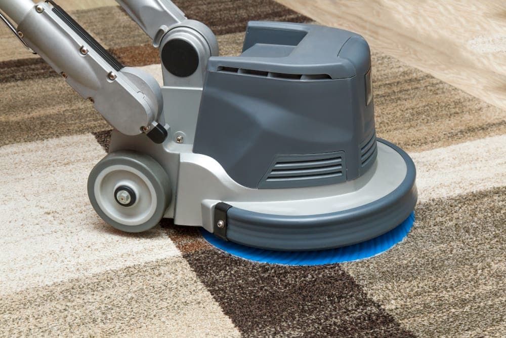 Professional carpet cleaning in action