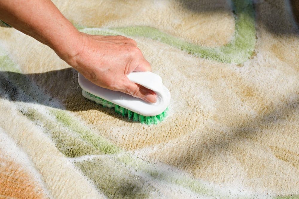 Rug being spot cleaned
