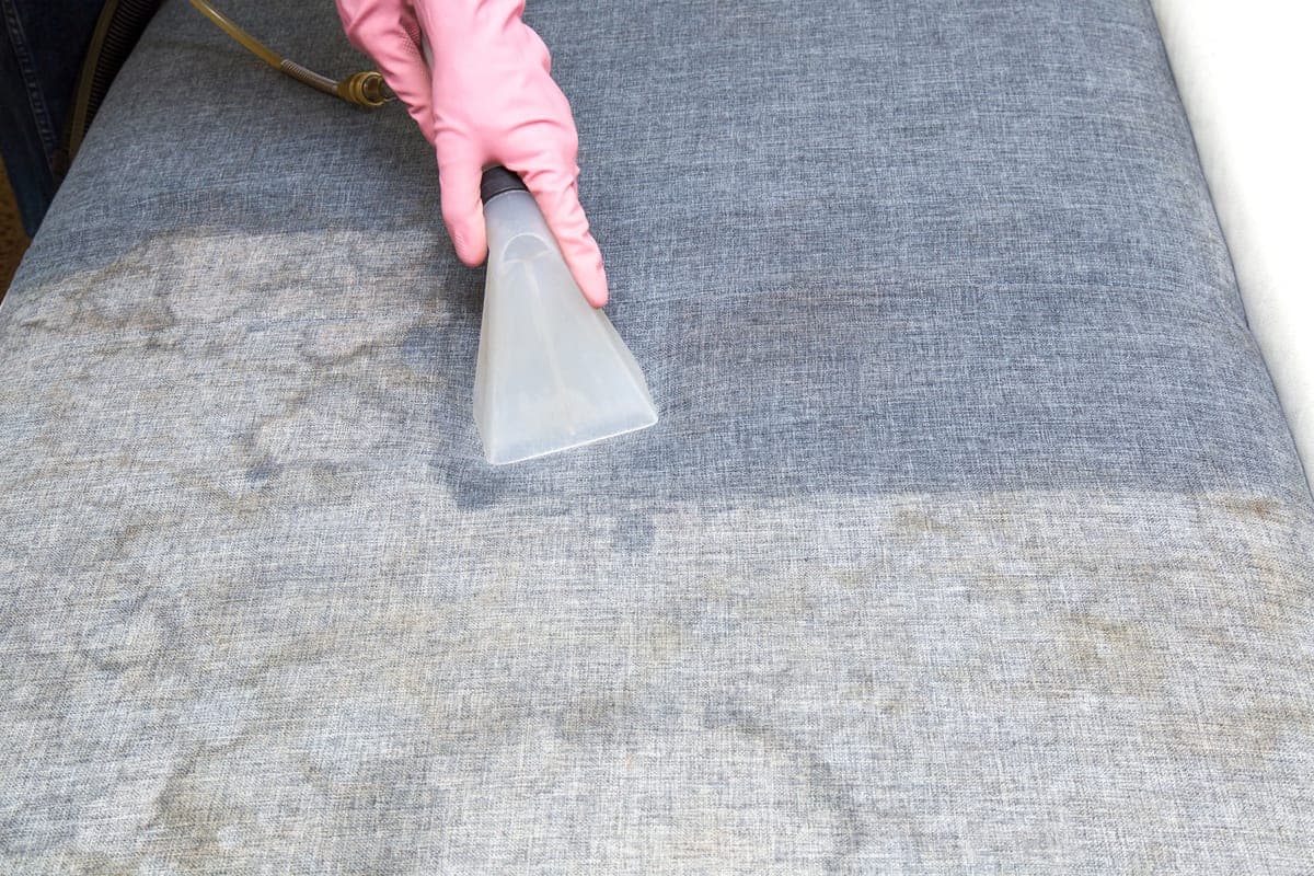Professional upholstery cleaning