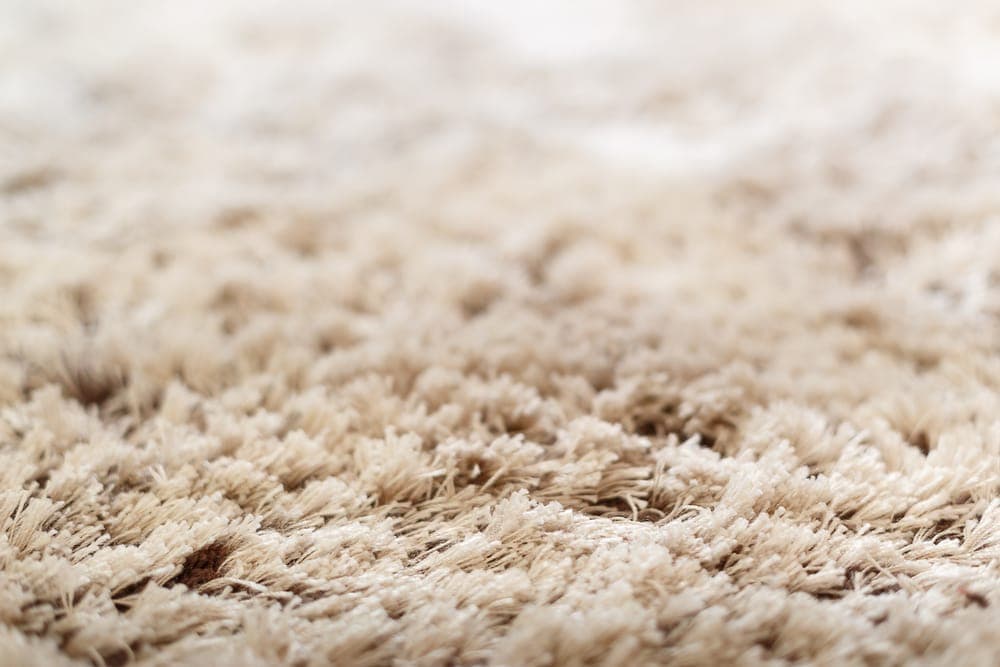 Carpet fibers showing soap residue buildup