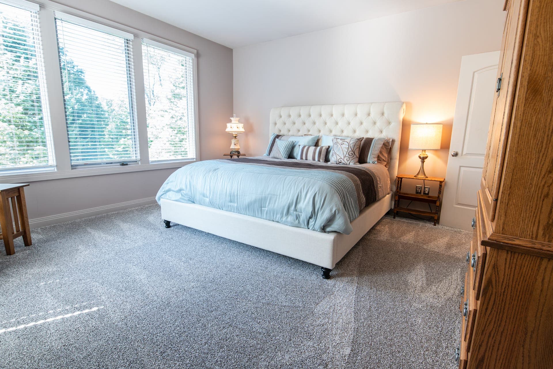 Professional carpet cleaning in West Nashville, TN