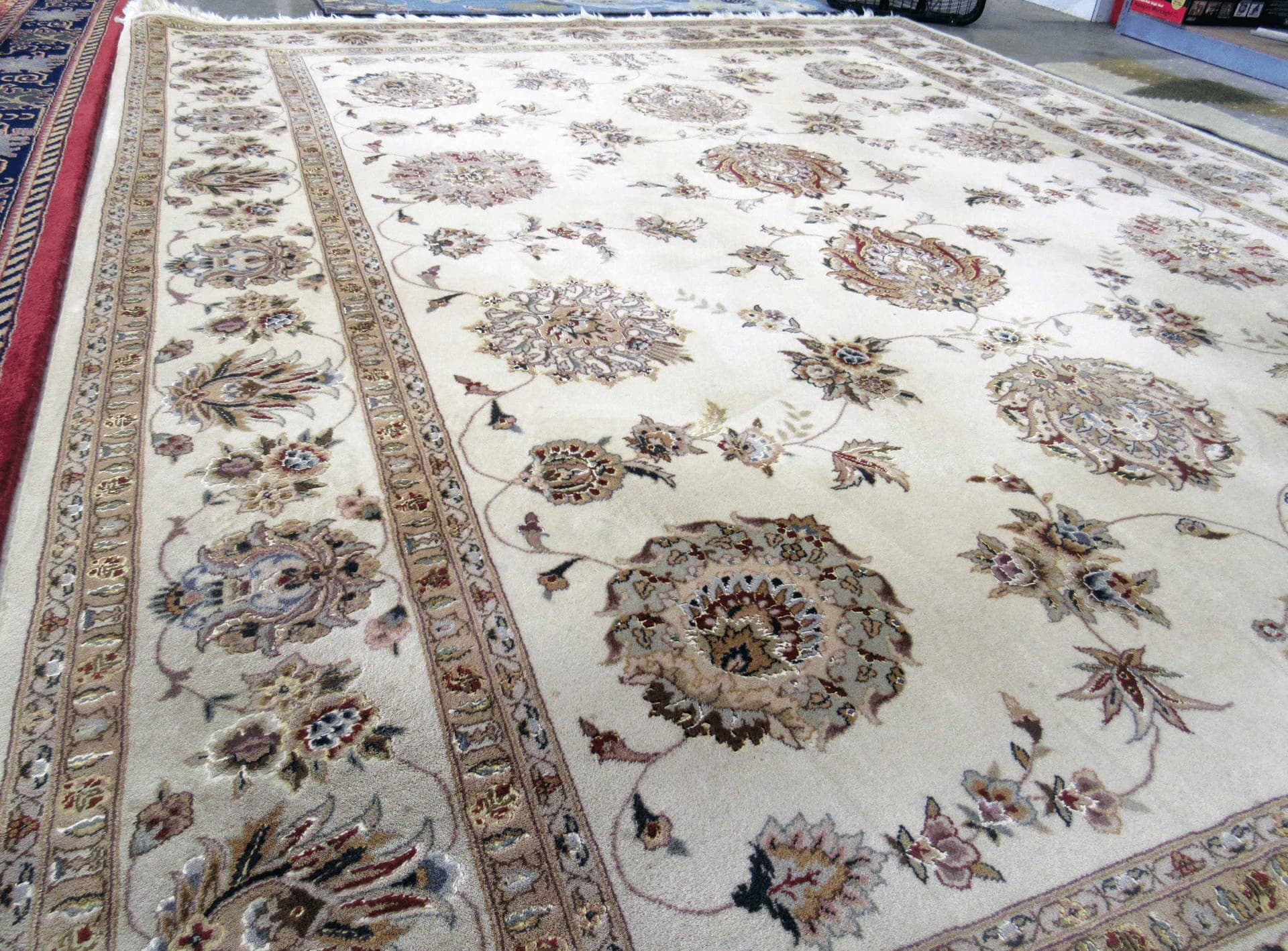 Professional carpet cleaning in Nippers Corner, TN
