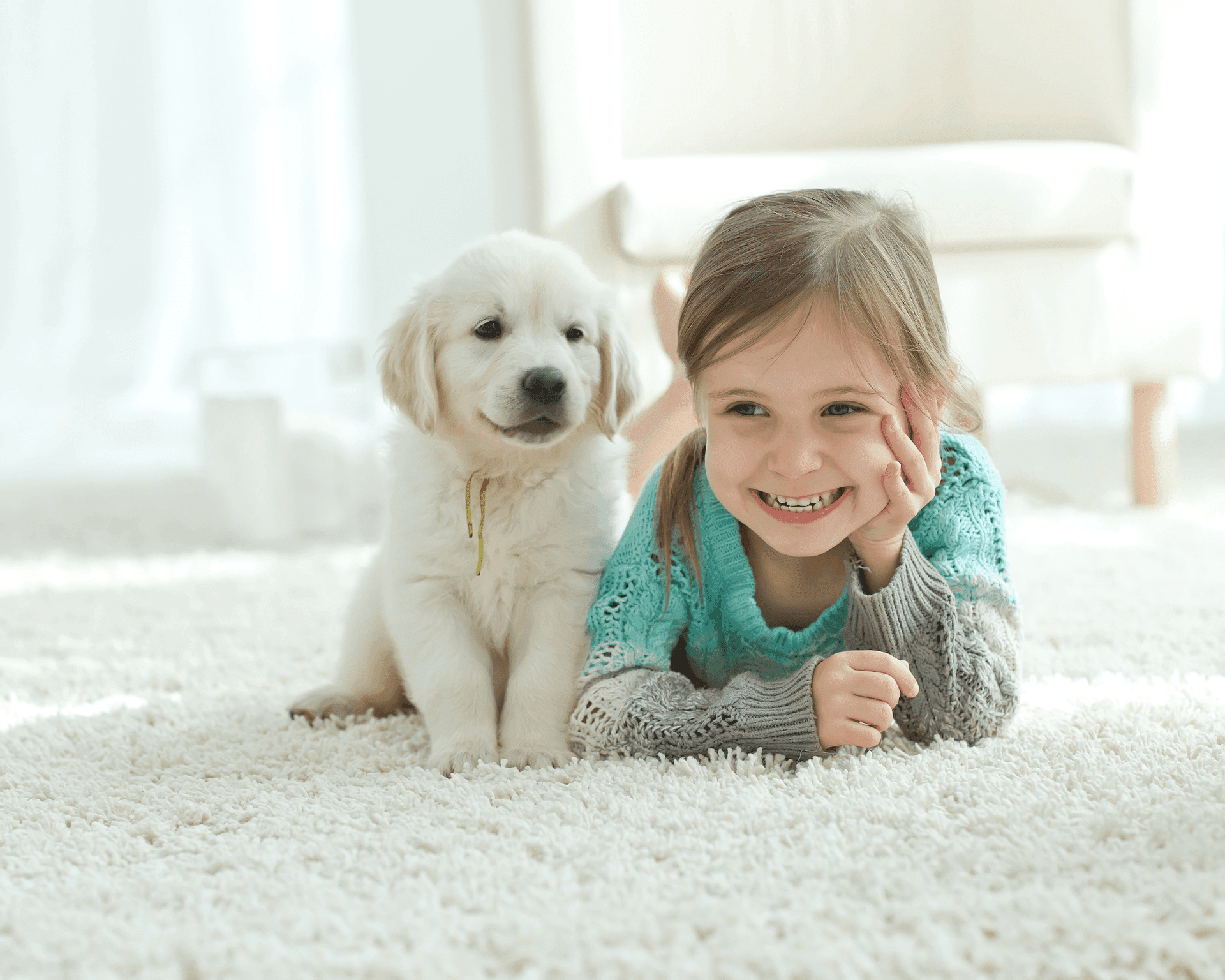 Professional carpet cleaning in Princeton, TX
