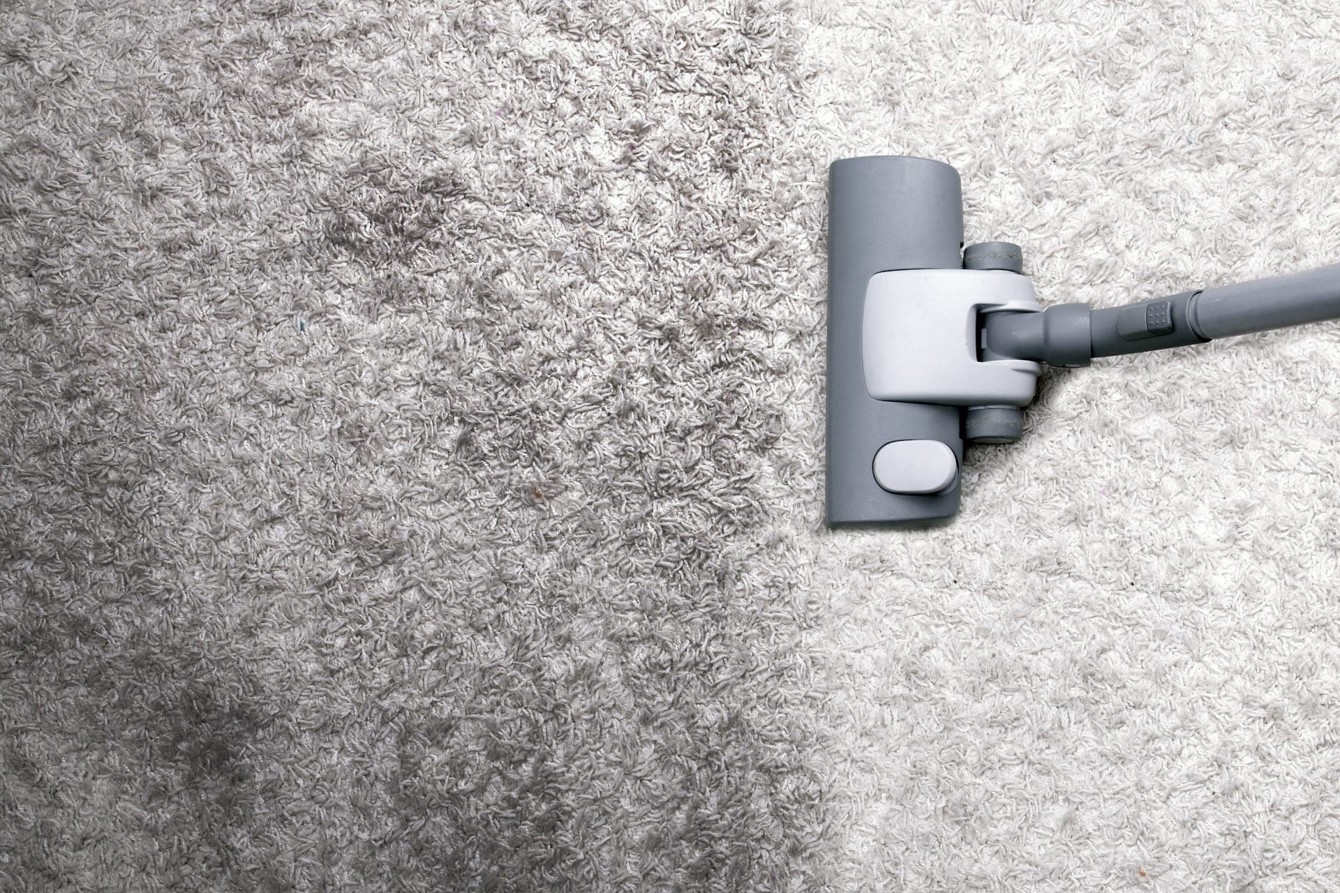 Professional carpet cleaning in Old Enfield, TX