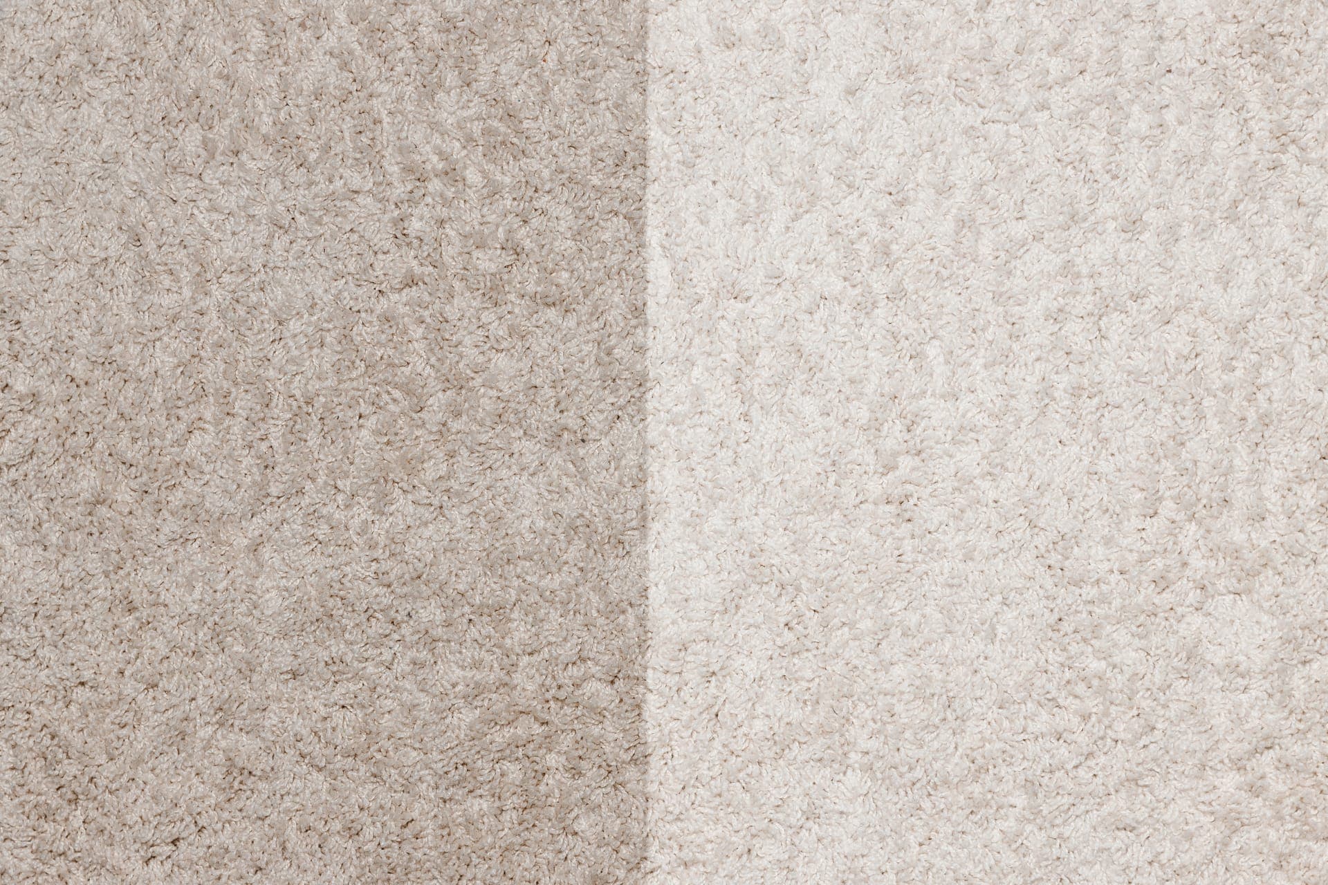 Professional carpet cleaning in Red Oak, TX