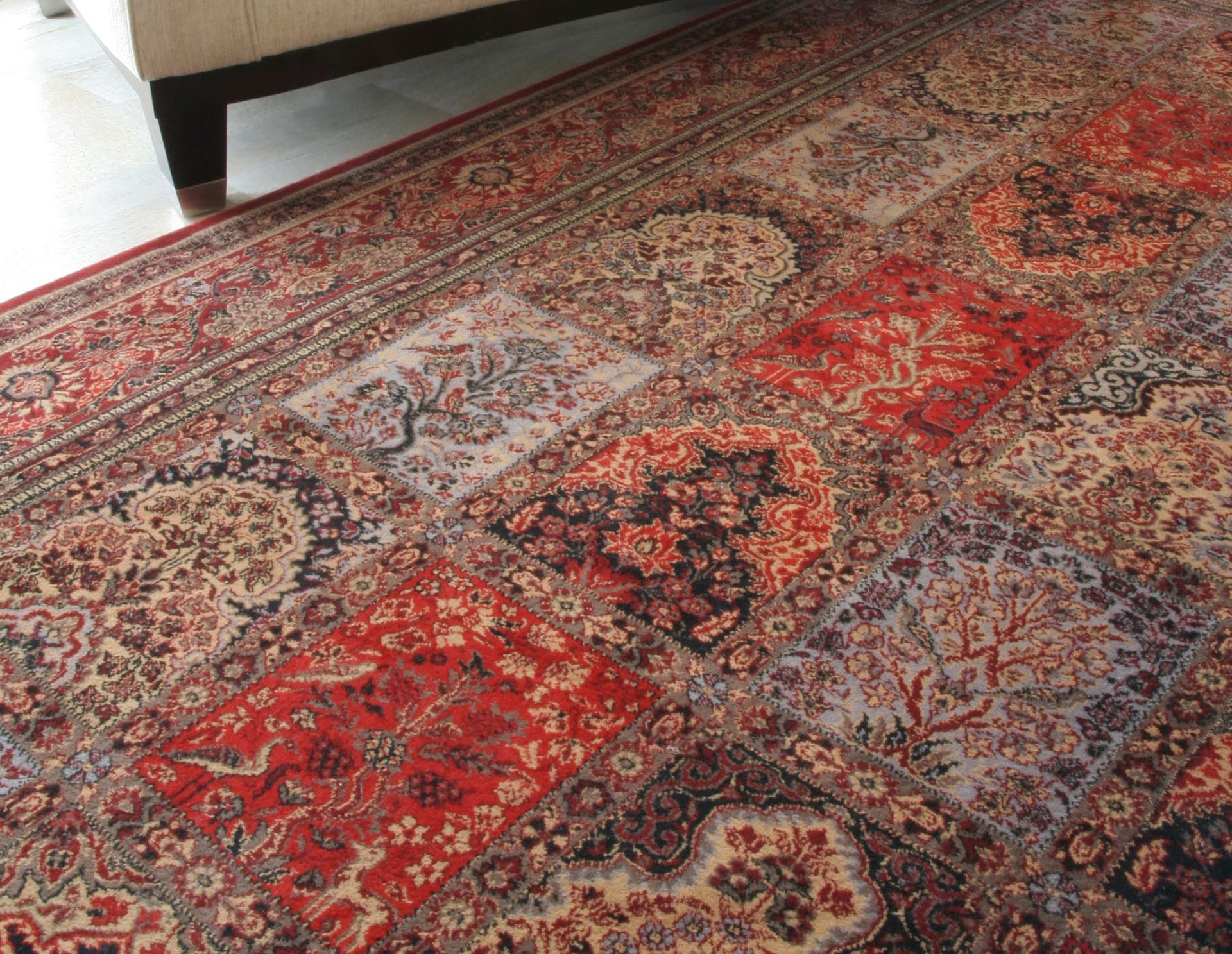 Professional carpet cleaning in Spanish Oaks, TX