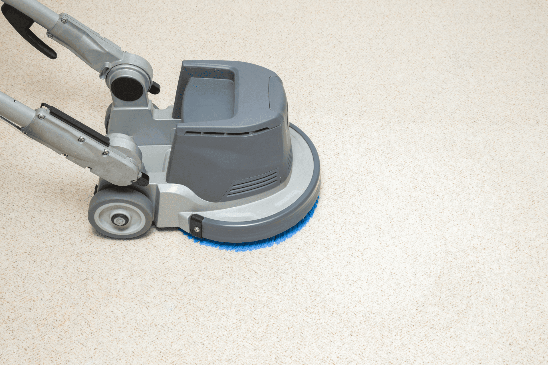 Professional carpet cleaning in East Memphis, TN