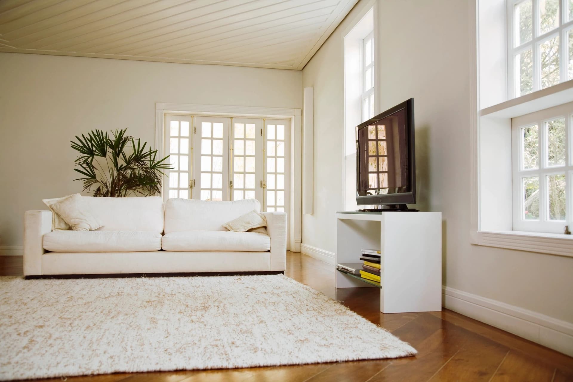 Professional carpet cleaning in Lake Dallas, TX