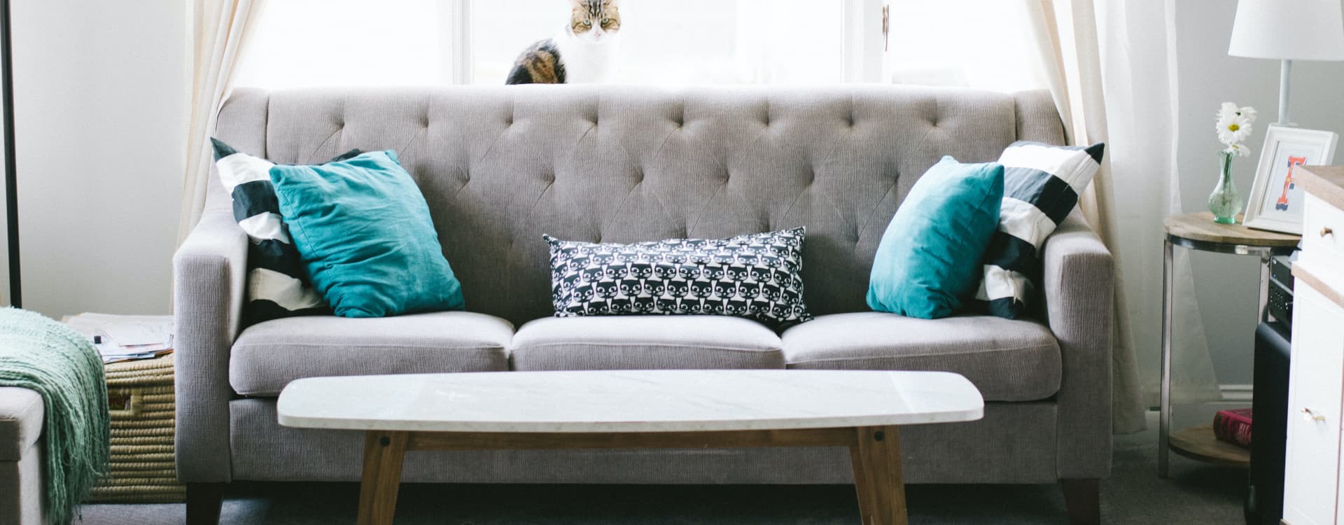 Professional upholstery cleaning for sofas and chairs