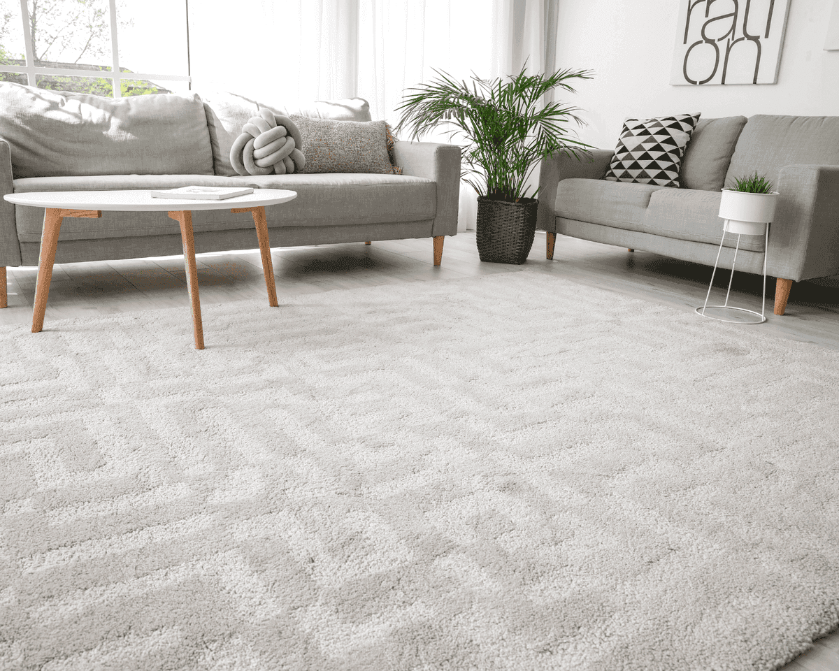Area and oriental rug cleaning in Georgetown