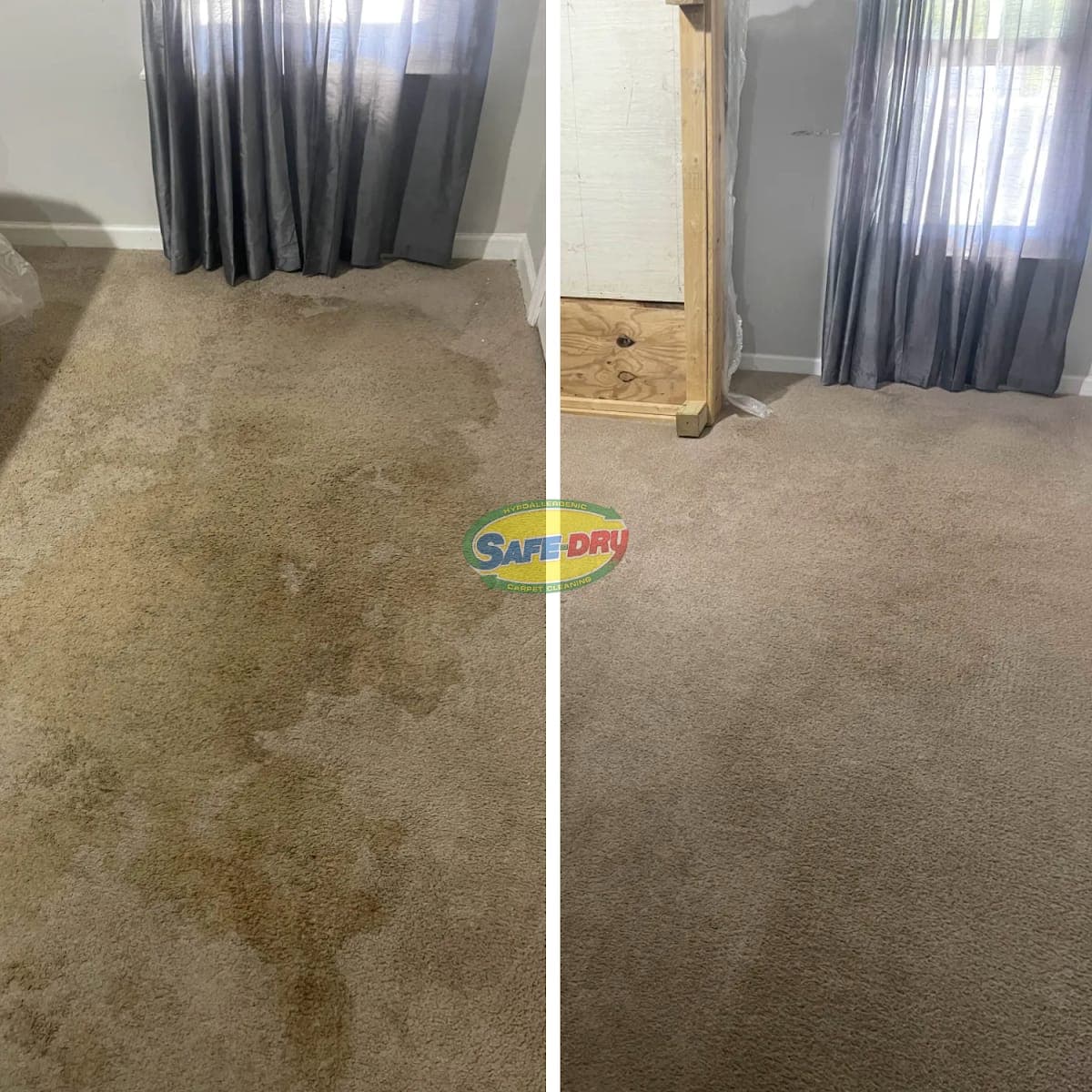 Carpet cleaning results in Arlington, TN
