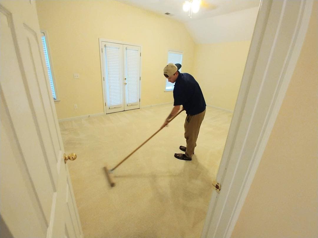 Pet stain removal results in Bowling Green, KY