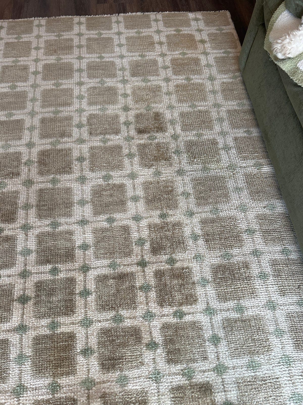 Professional carpet stain removal in Clarksville, TN